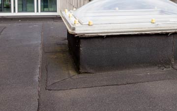 disadvantages of Warndon flat roofs